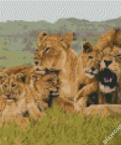African Lion Family diamond painting