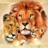 Lion Family Animals diamond painting