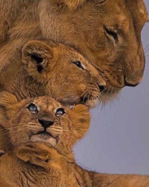 Lions Family diamond painting