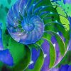 Blue And Green Nautilus Shell diamond painting