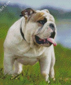 English Bulldog Dog diamond painting