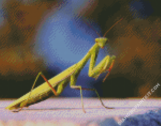 Mantis Insect diamond painting
