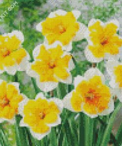 Narcissus Orangery diamond painting