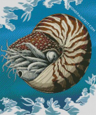 Nautilidae Marine Mollusc diamond painting