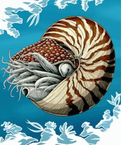 Nautilidae Marine Mollusc diamond painting