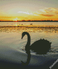 Swan Bird Silhouette diamond painting