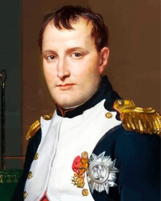 Aesthetic Napoleon diamond painting