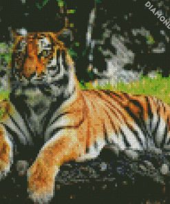 Aesthetic Tiger diamond painting