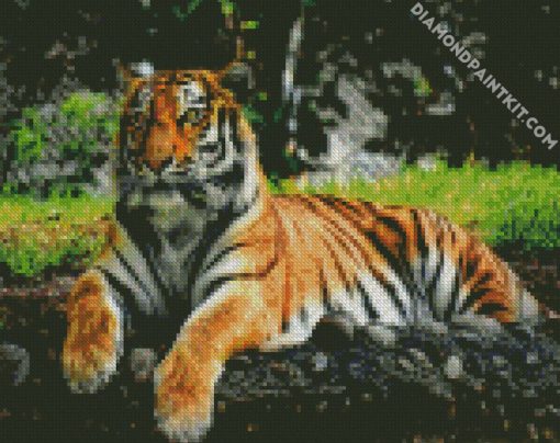 Aesthetic Tiger diamond painting