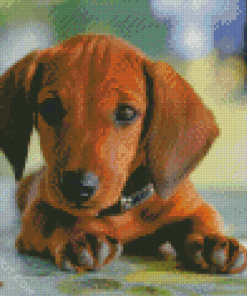 Brown Puppy Doxie Daschsund diamond painting