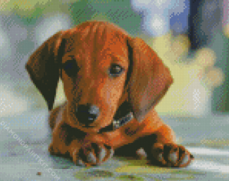 Brown Puppy Doxie Daschsund diamond painting