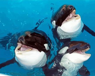 Cute Orcas diamond painting