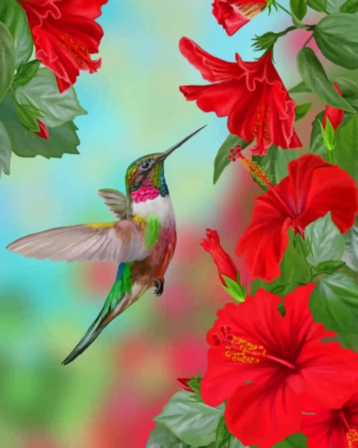 Hummingbird And Flowers diamond painting