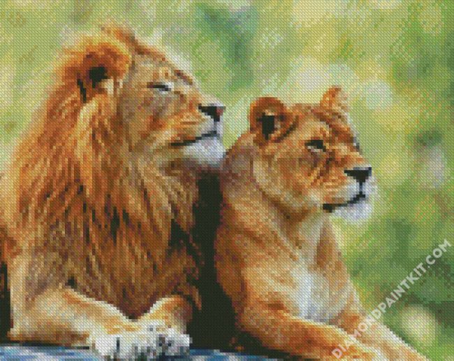 Lion And Lioness diamond painting
