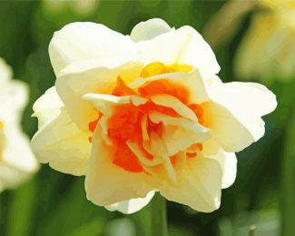 Narcissus Flower Parade diamond painting