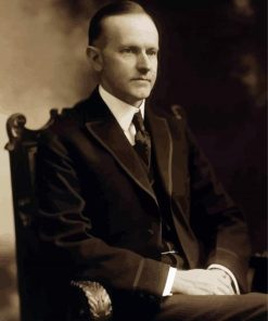 President Of The Us Calvin Coolidge diamond painting