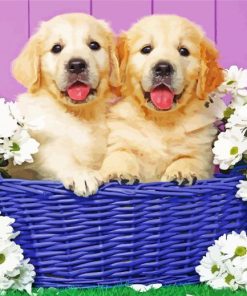Puppies In Basket diamond painting
