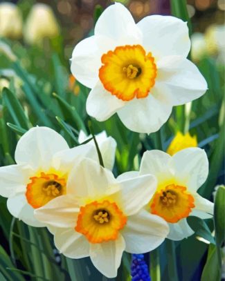 White Narcissus Flowers diamond painting