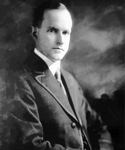 Young Calvin Coolidge diamond painting