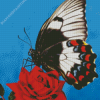 Butterfly Rose Diamond Paintings