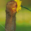 Gopher Smelling Flower Diamond Paintings