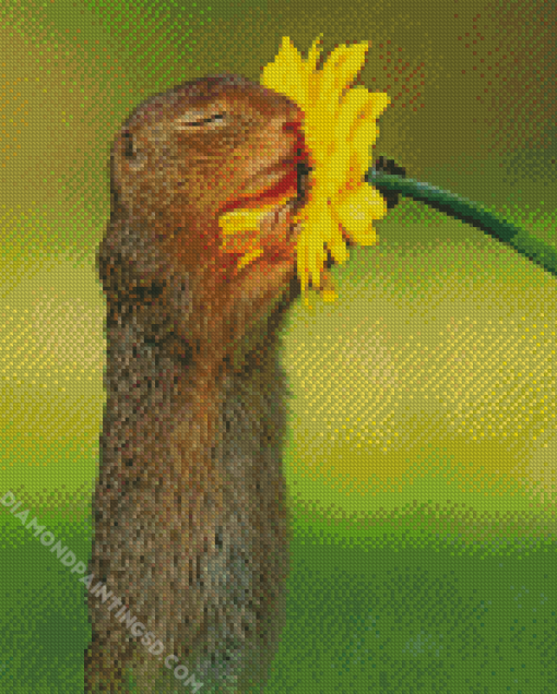 Gopher Smelling Flower Diamond Paintings