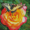 Aesthetic Butterfly Rose Diamond Paintings