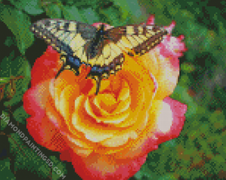 Aesthetic Butterfly Rose Diamond Paintings