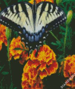 Butterfly Marigolds Diamond Paintings