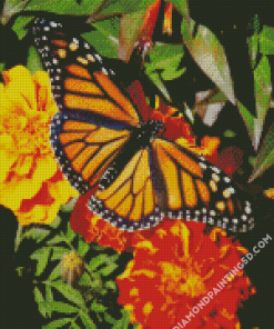 Butterfly On Marigolds Diamond Paintings