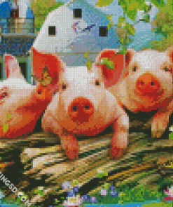 Farm Pigs Diamond Paintings