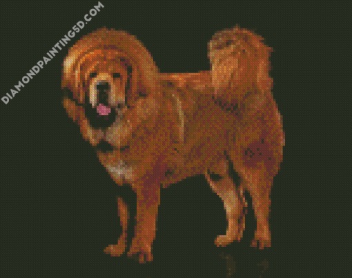 Fluffy Mastiff Dog Diamond Paintings