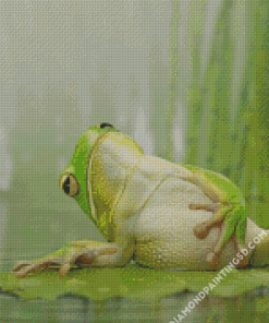 Frog Chilling Diamond Paintings
