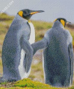 Grey Penguin Couple Diamond Paintings