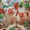 Pigs And Flying Monarch Butterflies Diamond Paintings