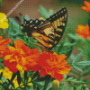 Swallowtail On Marigolds Diamond Paintings