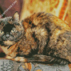 Tortoiseshell Cat Diamond Paintings