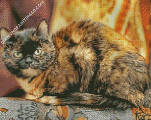 Tortoiseshell Cat Diamond Paintings