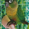 Green Cheeked Bird Diamond Paintings