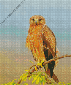 Indian Spotted Eagle On Stick Diamond Paintings