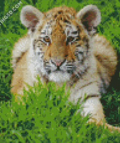 Aesthetic Baby Tiger Diamond Paintings