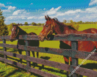 Aesthetic Farm Horses Diamond Paintings