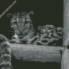 Black And White Baby Tigers Diamond Paintings