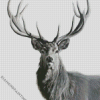 Black And White Highland Stag Animal Diamond Paintings