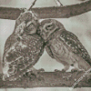 Black And White Owl Couple Diamond Paintings