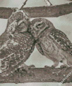 Black And White Owl Couple Diamond Paintings