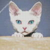 Blue Eyes Devon Rex Cat Diamond Paintings