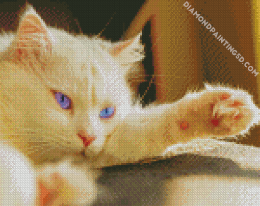 Blue Eyes White Persian Cat Diamond Paintings