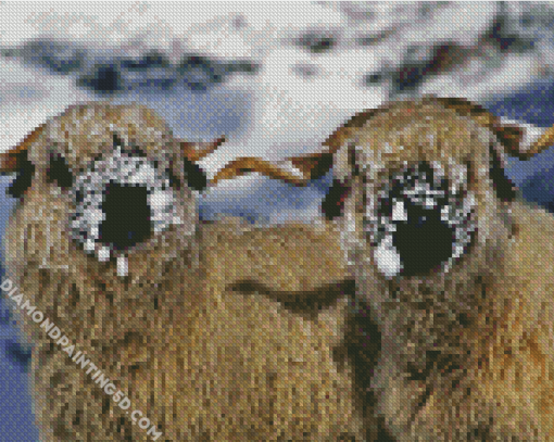 Cute Blacknose Sheep In Snow Diamond Paintings