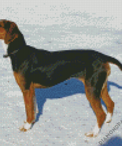 Finnish Hound Dog In Snow Diamond Paintings